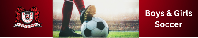 Boys & Girls Scoccer Banner